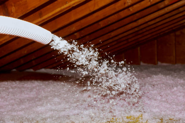 Best Spray Foam Insulation in Palmyra, MO