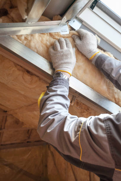 Best Energy Efficiency Insulation in Palmyra, MO