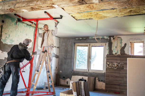 Best Geographic-Specific Insulation Services in Palmyra, MO