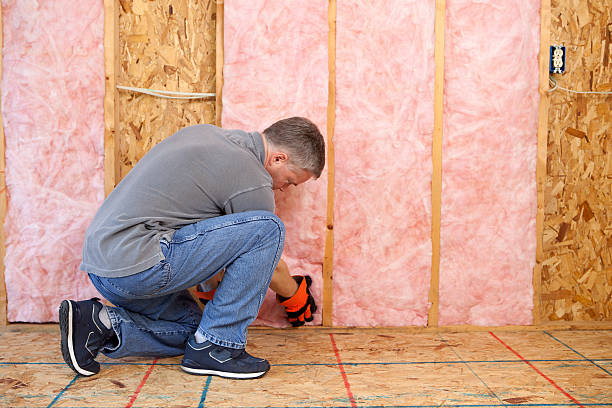 Best Residential Insulation in Palmyra, MO
