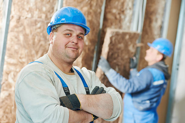 Best DIY Insulation Kits and Guidance in Palmyra, MO