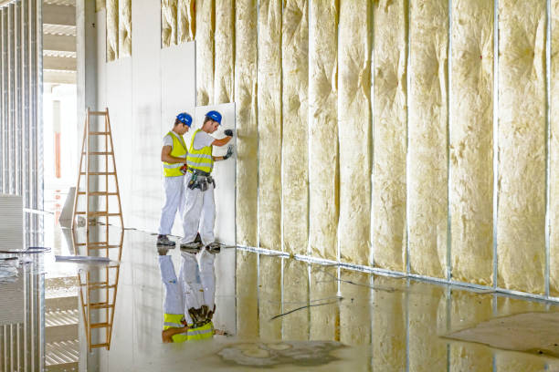 Professional Insulation Contractor in Palmyra, MO